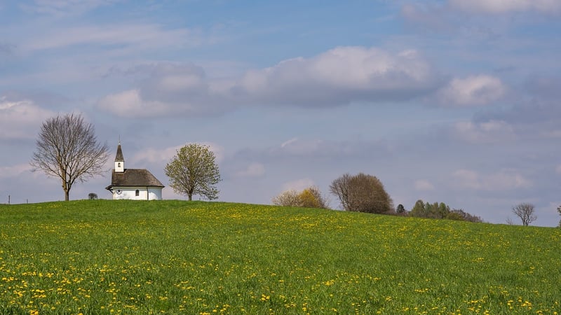 Fairytale Meadow