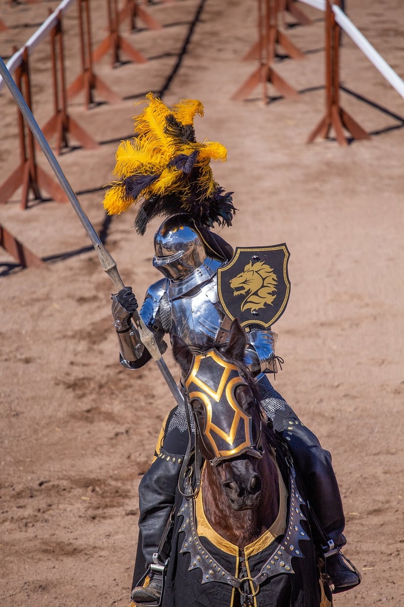 Medieval Knight or Princess